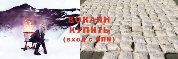 индика Кодинск