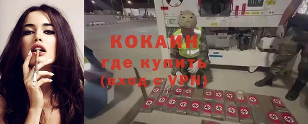 индика Кодинск