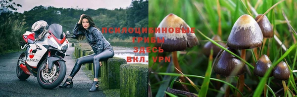 не бодяженный Кинешма