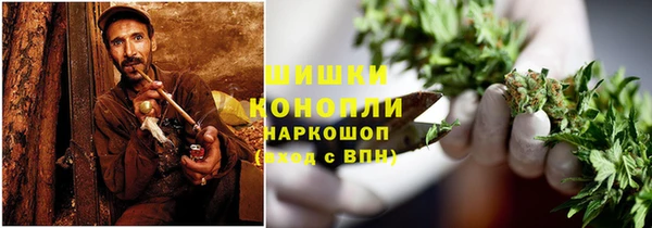 индика Кодинск