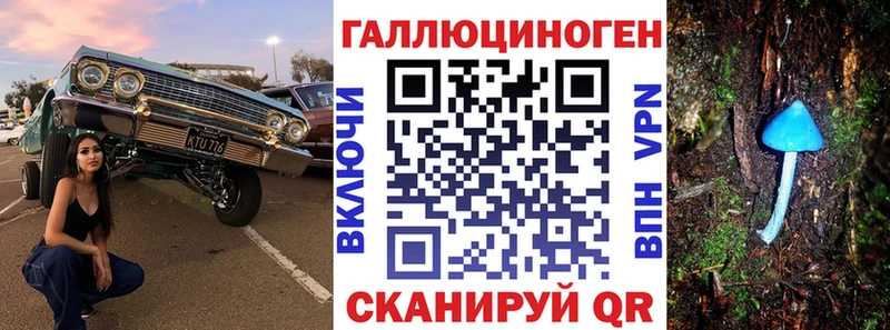 мега ТОР  Лабинск  Галлюциногенные грибы прущие грибы 