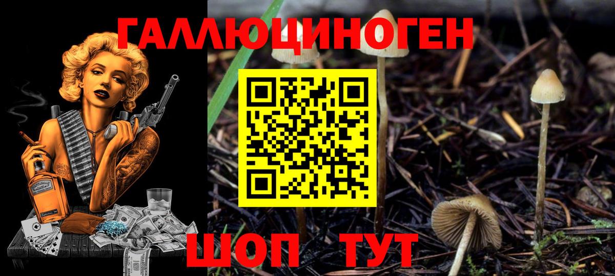 Галлюциногенные грибы мухоморы Лабинск